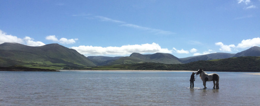 View from the beach, 1 km from Wild Atlantic House